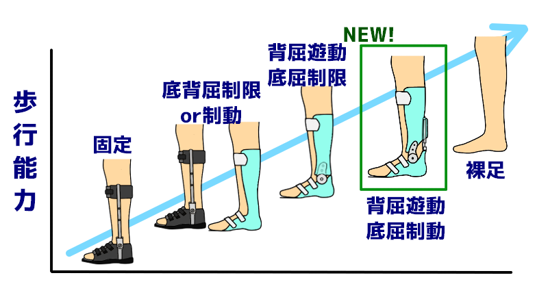 装具学 New-options.png.webp