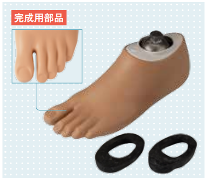 義足の足部です。 第52回理学療法士国家試験解説AM-42 エネルギー蓄積型の義足足部