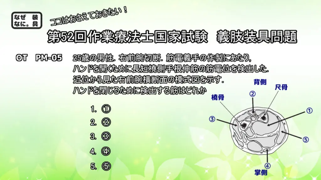 第52回作業療法士国家試験解説pm 05 筋電義手の電極位置設定 なぜなに 装具 まとめ